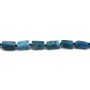 Apatite en forme de baroque 7x11mm x 42cm