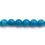 Apatite Ronde 10mm x 2pcs 