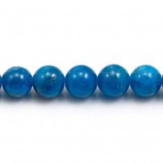 Apatite Ronde 12-13mm x 40cm