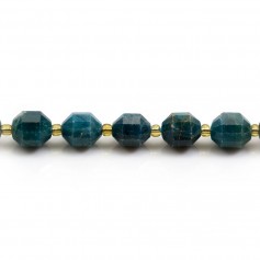 Apatite,en forme d'octogonal facette sur fil 10mm x 40cm