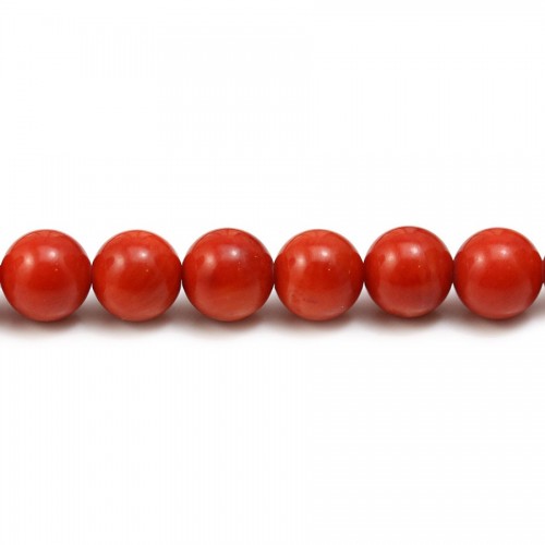 Tinted sea bamboo, in rust-colored, in round shape, 8mm x 39cm