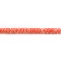 Bambou mer teinté orange Rondelle 3x5mm x  40cm