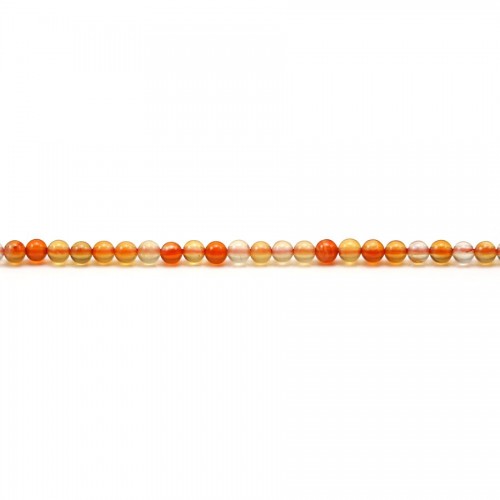 Round beads of 2mm in cornaline x 40cm 