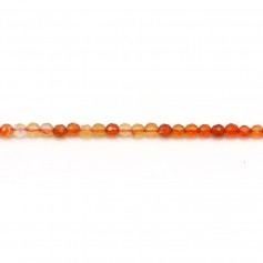 Cornaline ronde plate sur fil 8mm x 40cm