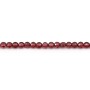 Grenat rond plat facette 2mm x 40cm