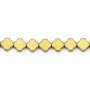 Hématite doré trèfle 8mm x 40cm