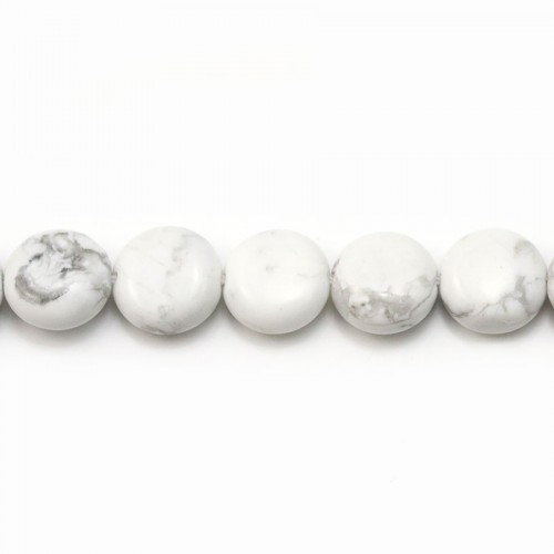Howlite, de forme ronde et plate, 10mm x 6pcs