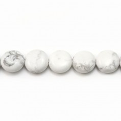Howlite, de forme ronde et plate, 10mm x 6pcs