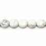 Howlite, de forme ronde et plate, 10mm x 6pcs
