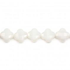 Jade blanc trèfle facette 13 mm x 2pcs