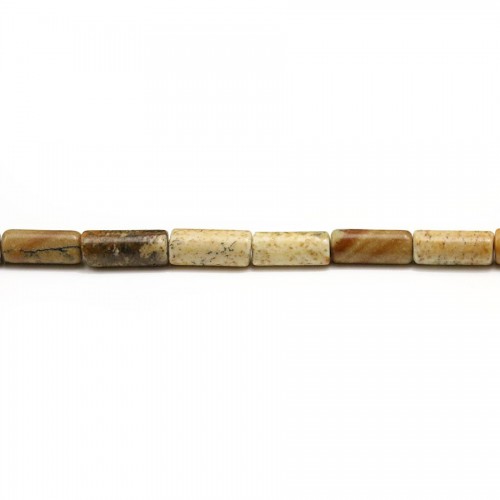 Jaspe paysage tube 4x8mm x 10pcs