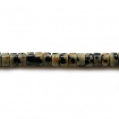 Dalmatian Jasper, in the shape of a roundel 2x4.5mm x 39cm