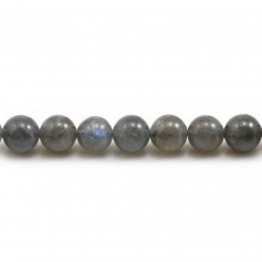 Labradorite Ronde 8mm x 6pcs