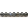 Labradorite Ronde 8mm x 6pcs