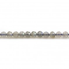 Labradorite Ronde Facette 4mm x 40cm