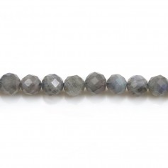 Labradorite Faceted Round 6mm x 40cm