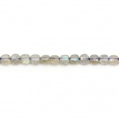 Labradorite Faceted Flat Round 14mm x 40cm