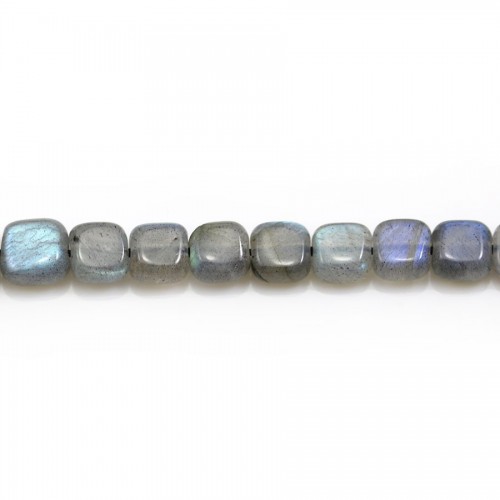 Labradorite grise en forme de carré 6mm x 6pcs