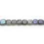 Labradorite grise en forme de carré 6mm x 6pcs