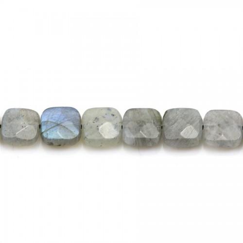 Labradorite grise, en forme de carré facetté, 8mm x 4pcs