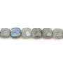 Labradorite grise, en forme de carré facetté, 8mm x 4pcs