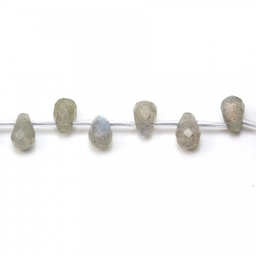 Labradorite Goutte Facette 6x9mm x 40cm (40pcs)