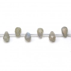 Labradorite Goutte Facette 6x9mm x 40cm (40pcs)