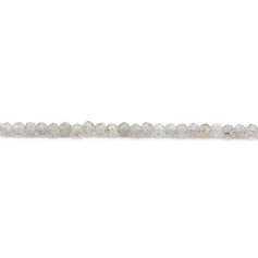 Labradorite, in round faceted shaped, in size of 2mm x 39 cm