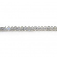 Labradorite rondelle facette 3x5mm x 4pcs