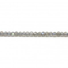 Labradorite rondelle facette 3x4mm x 4pcs