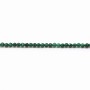 Malachite, de forme ronde et facetté, 2mm x 38cm