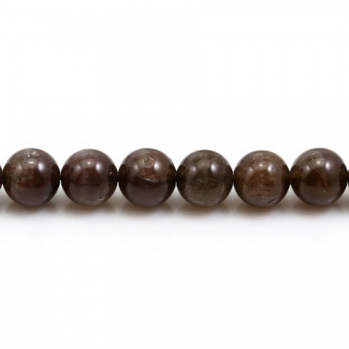 Tormalina occhio di gatto, forma rotonda 8 mm x 39 cm