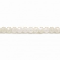 Round moonstone 2.5-3mm x 40cm