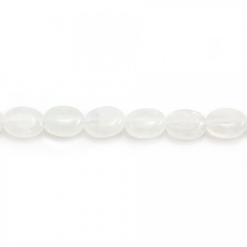 Pierre de lune, de forme oval, 6x8mm x 39cm