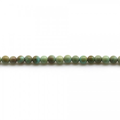 Turquoise Round 3.5mm x 40cm