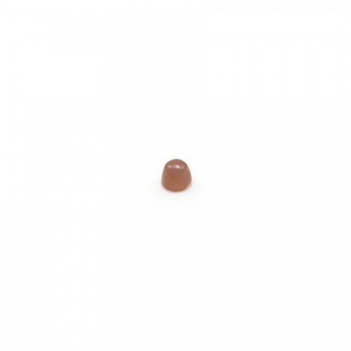 Cabochon d'agate du boswana, de forme ronde, 2mm x 4pcs