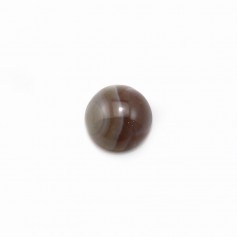 Cabochon agate du boswana, de forme ronde, 8mm x 4pcs