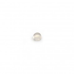 Cabochon d'agate grise, de forme ronde, 3mm x 10 st