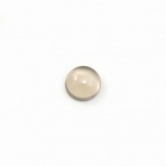 Cabochon d'agate grise, de forme ronde, 6mm x 10 pcs