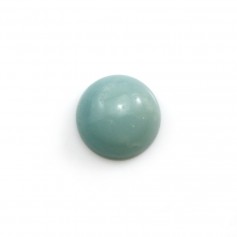 Cabochon bleu d'amazonite, de forme ronde, 14mm x 2pcs