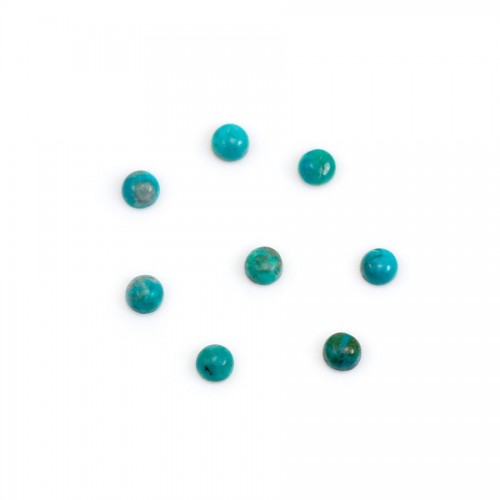 Cabochon chryscolle,en forme de rond 3mm x 2pcs