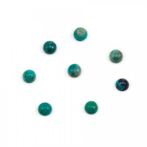 Cabochon chryscolle,en forme de rond 4mm x 2pcs