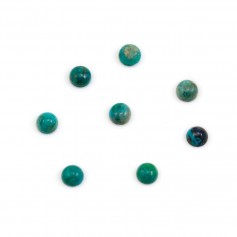 Cabochon chryscolle,en forme de rond 4mm x 2pcs