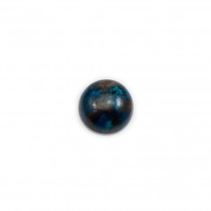 Cabochon chryscolle,en forme de rond 8mm x 2pcs