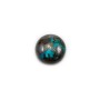 Cabochon chryscolle,en forme de rond 10mm x 1pc
