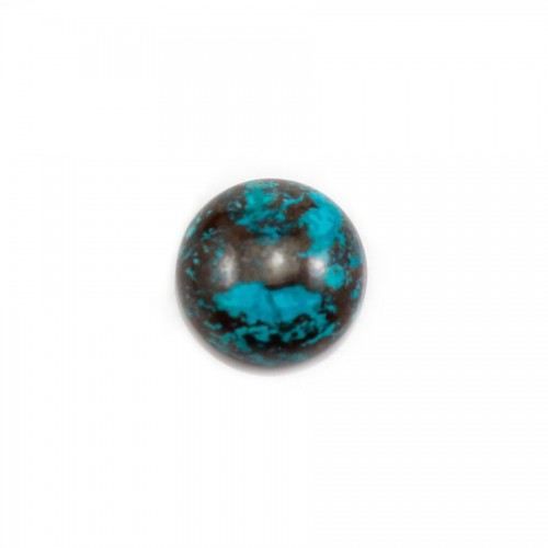 Cabochon chryscolle,en forme de rond 12mm x 1pc