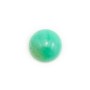 Cabochon de chrysoprase,de forme ronde,11mm x 1pc