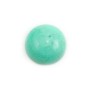 Cabochon de chrysoprase,de forme ronde,14mm x 1pc