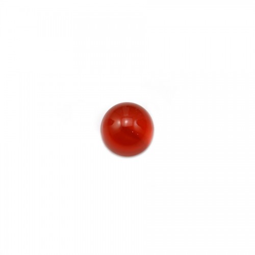 Cabochon agate rouge ronde 6mm x 5pcs