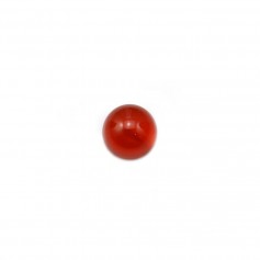 Cabochon cornaline ronde 6mm x 2pcs